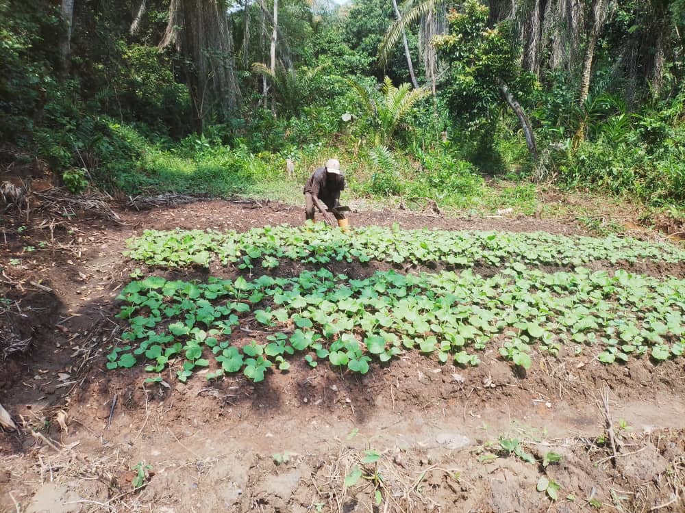 Solidarité agricole-5